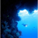 Fiji Diving Holidays - The Northern Explorer