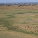 Safari Holidays in Zambia - Group - Kafue's Rivers & Plains - 10 days