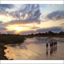 Safari Holidays in Zambia - Group - Classic Luangwa Walking - 13 days