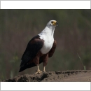 Safari Holidays in Zambia - Tailor-made - Rivers & Rainbows - 10 days