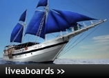 Dive Liveaboards Worldwide