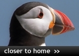 Closer to home