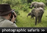 Photographic Safari Holidays