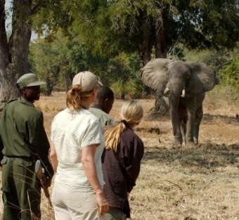 Zambia Safari Guide